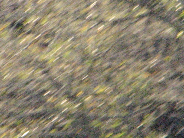 2009/10(October)/Misc/640x480_20100206 542.JPG